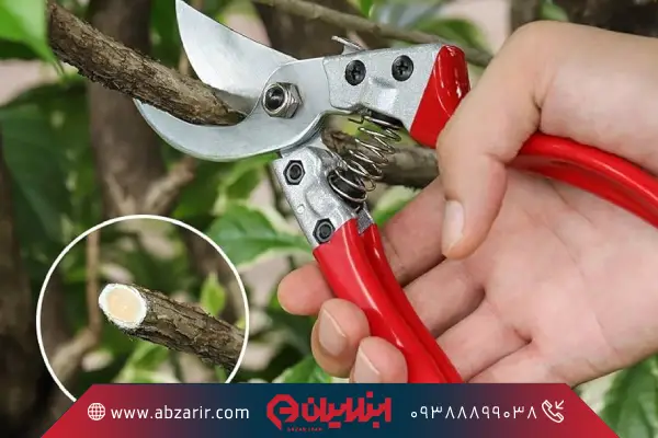 قیچی باغبانی